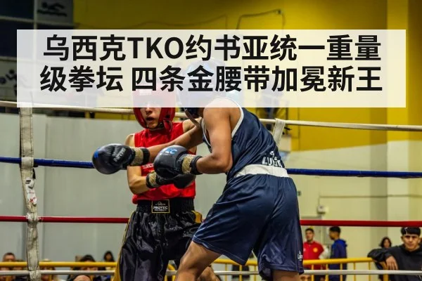 乌西克TKO约书亚统一重量级拳坛 四条金腰带加冕新王